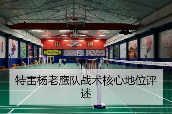 特雷杨老鹰队战术核心地位评述